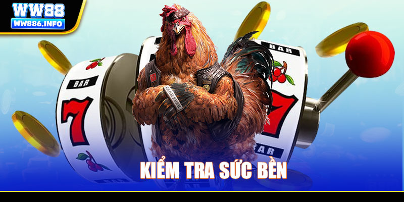 Kiểm tra sức bền